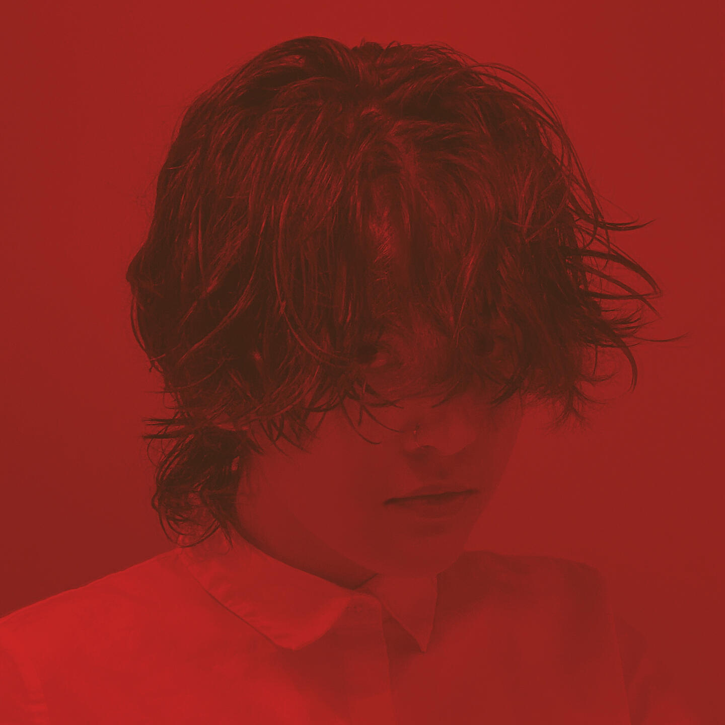 black cat playing blue electric guitar